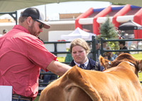 2023 Roosevelt County Fair Beef Show-17