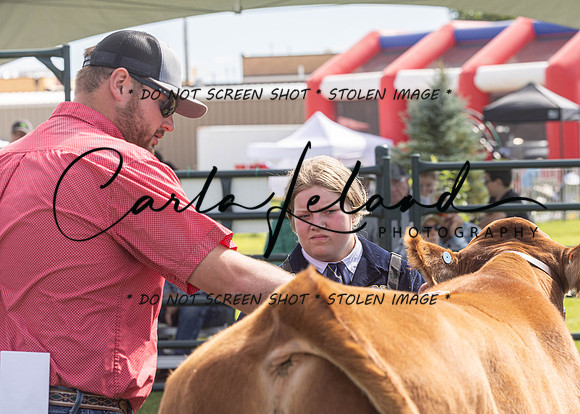 2023 Roosevelt County Fair Beef Show-17