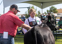 2023 Roosevelt County Fair Beef Show-18