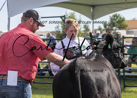 2023 Roosevelt County Fair Beef Show-18