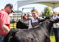 2023 Roosevelt County Fair Beef Show-20