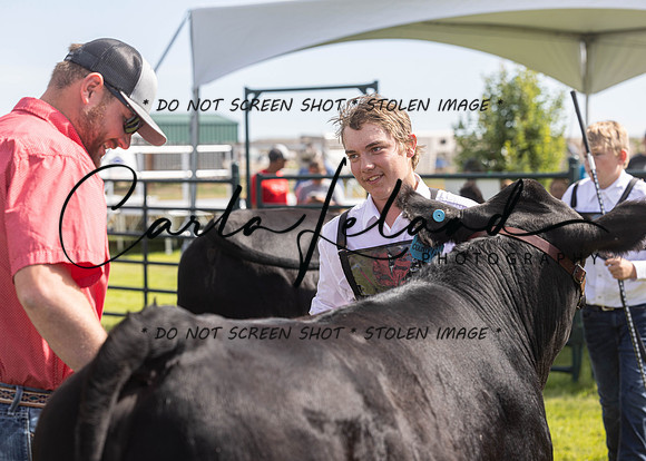2023 Roosevelt County Fair Beef Show-20