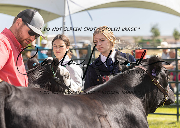 2023 Roosevelt County Fair Beef Show-21