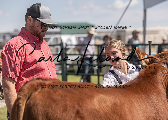 2023 Roosevelt County Fair Beef Show-136