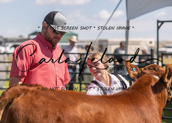 2023 Roosevelt County Fair Beef Show-137