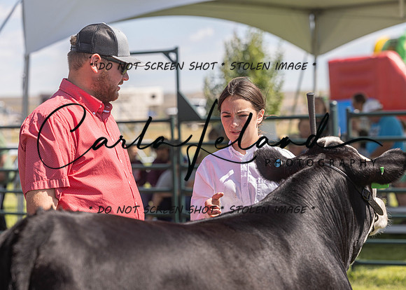 2023 Roosevelt County Fair Beef Show-138