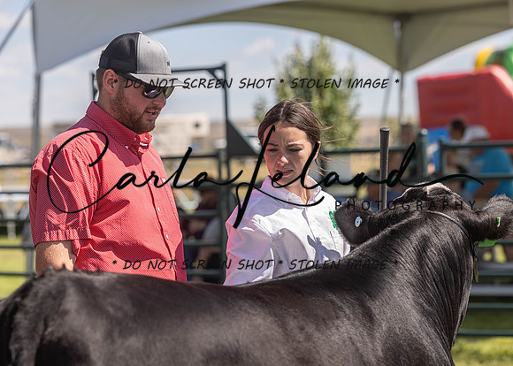 2023 Roosevelt County Fair Beef Show-139