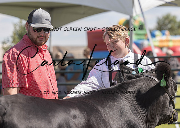 2023 Roosevelt County Fair Beef Show-140