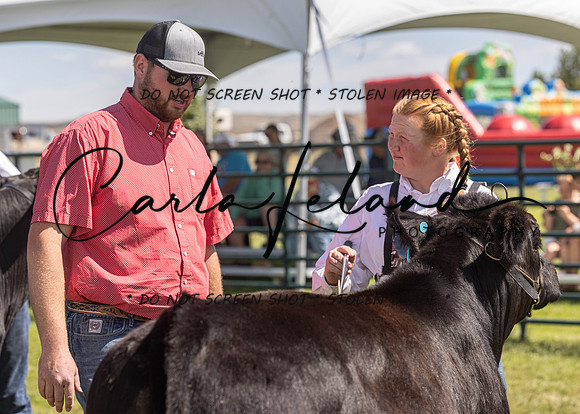 2023 Roosevelt County Fair Beef Show-141