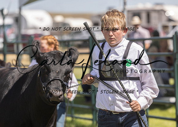 2023 Roosevelt County Fair Beef Show-144
