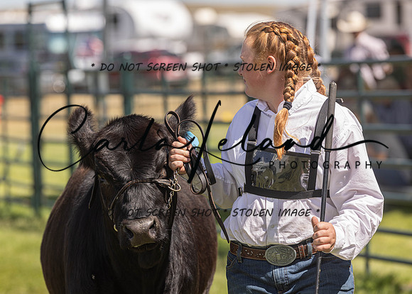 2023 Roosevelt County Fair Beef Show-145