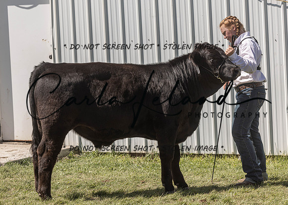 2023 Roosevelt County Fair Beef Show-147