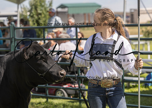 2023 Roosevelt County Fair Beef Show-153