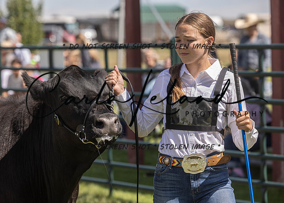 2023 Roosevelt County Fair Beef Show-154