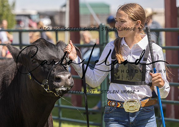 2023 Roosevelt County Fair Beef Show-155
