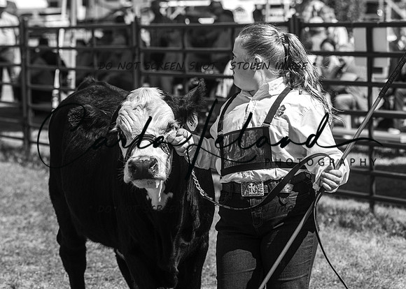 2023 Roosevelt County Fair Beef Show-156