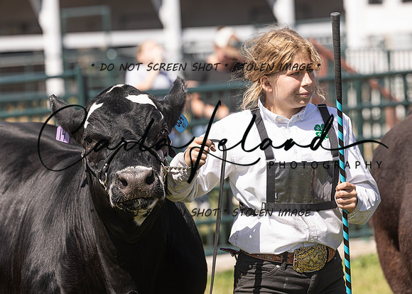 2023 Roosevelt County Fair Beef Show-157