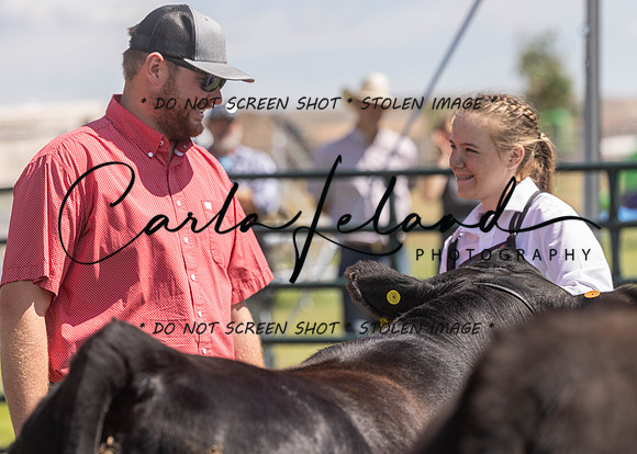 2023 Roosevelt County Fair Beef Show-159