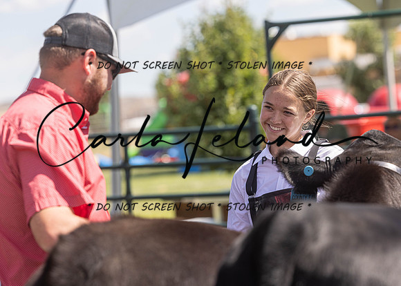 2023 Roosevelt County Fair Beef Show-160