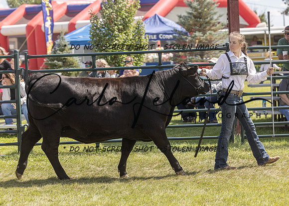2023 Roosevelt County Fair Beef Show-161