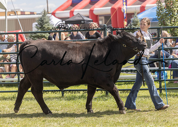 2023 Roosevelt County Fair Beef Show-162