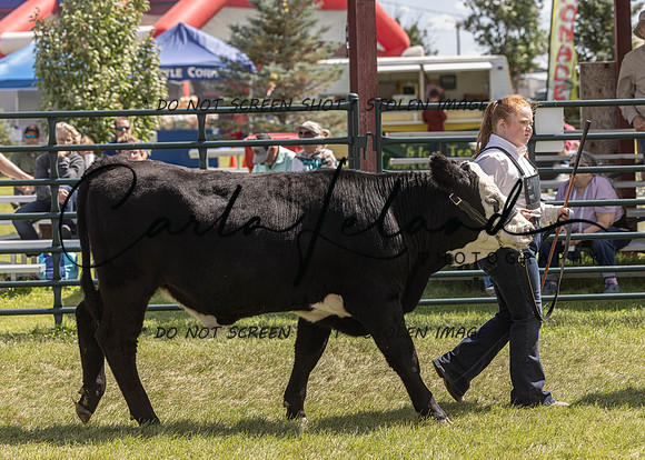 2023 Roosevelt County Fair Beef Show-163