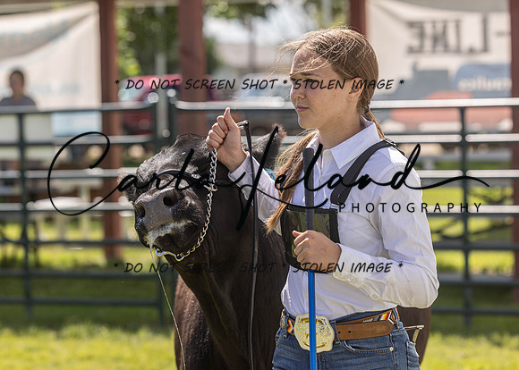 2023 Roosevelt County Fair Beef Show-164