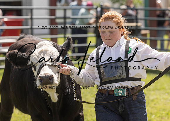 2023 Roosevelt County Fair Beef Show-166