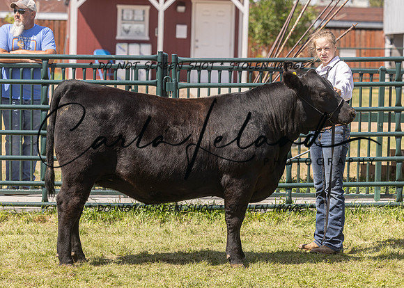 2023 Roosevelt County Fair Beef Show-167