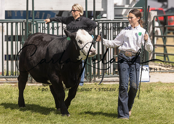2023 Roosevelt County Fair Beef Show-170