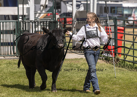 2023 Roosevelt County Fair Beef Show-171