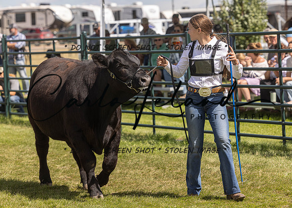 2023 Roosevelt County Fair Beef Show-172
