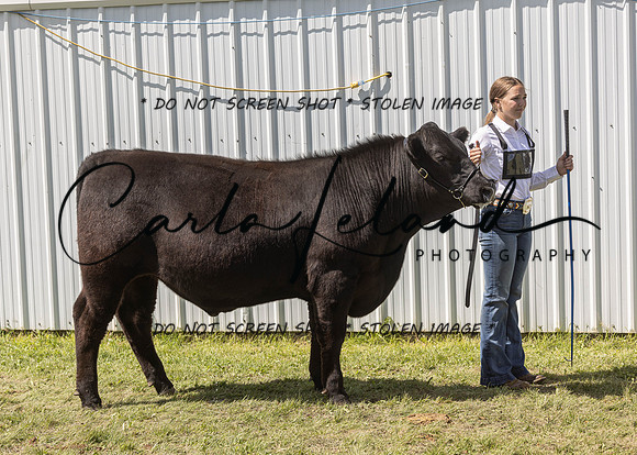 2023 Roosevelt County Fair Beef Show-173