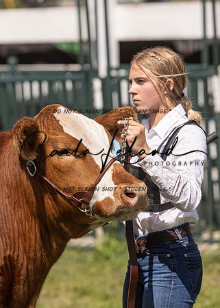 2023 Roosevelt County Fair Beef Show-174