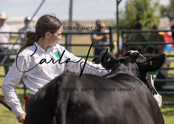2023 Roosevelt County Fair Beef Show-175
