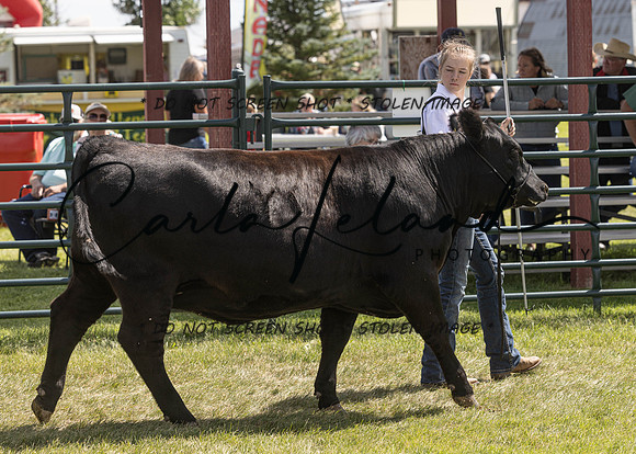 2023 Roosevelt County Fair Beef Show-177