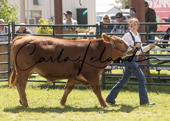 2023 Roosevelt County Fair Beef Show-178
