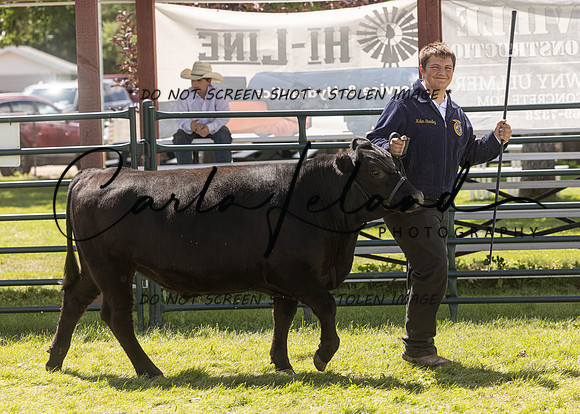 2023 Roosevelt County Fair Beef Show-181