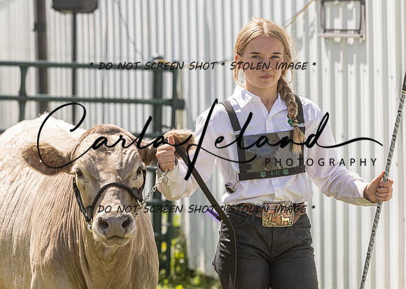 2023 Roosevelt County Fair Beef Show-182