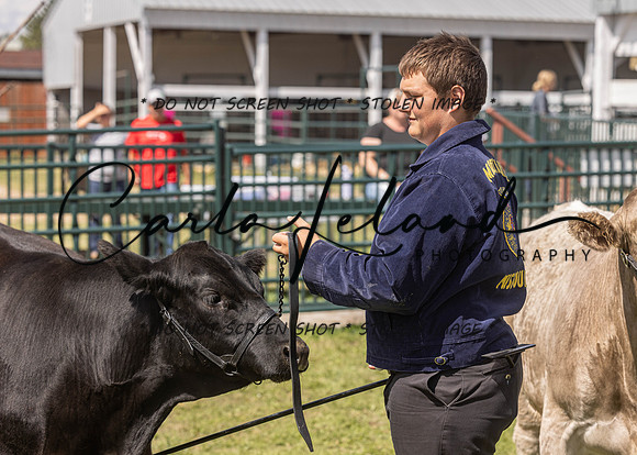 2023 Roosevelt County Fair Beef Show-183