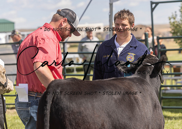 2023 Roosevelt County Fair Beef Show-185