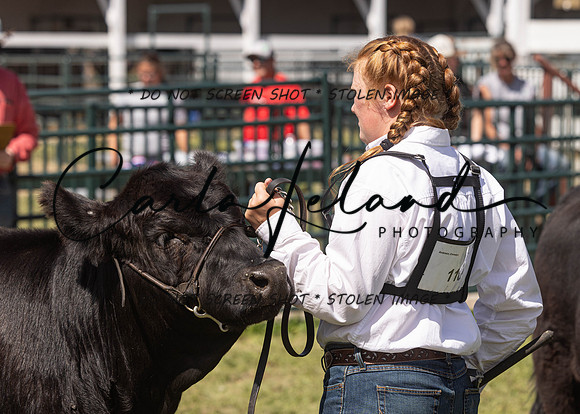 2023 Roosevelt County Fair Beef Show-184