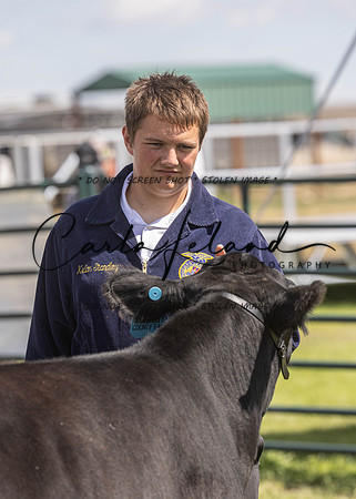 2023 Roosevelt County Fair Beef Show-187