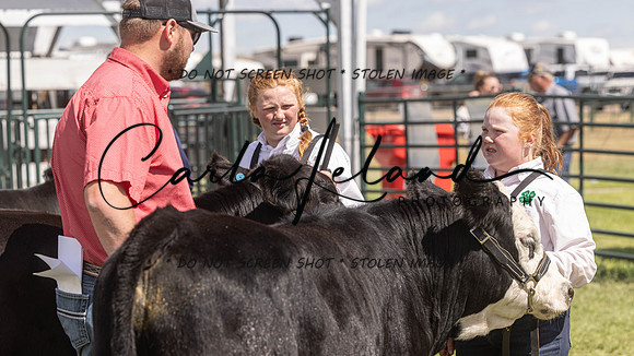 2023 Roosevelt County Fair Beef Show-186