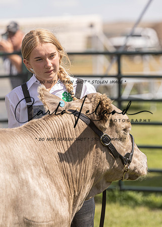 2023 Roosevelt County Fair Beef Show-188