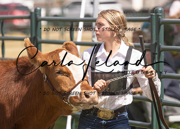 2023 Roosevelt County Fair Beef Show-190