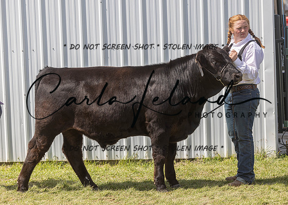 2023 Roosevelt County Fair Beef Show-194