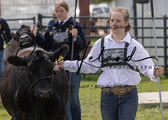 2023 Roosevelt County Fair Beef Show-199