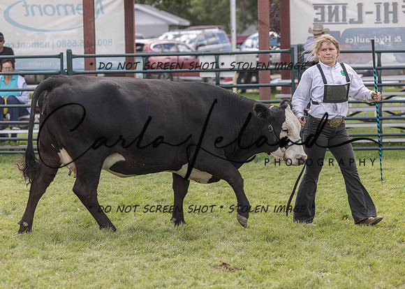 2023 Roosevelt County Fair Beef Show-200
