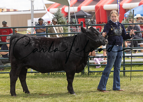 2023 Roosevelt County Fair Beef Show-202